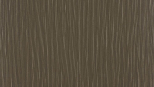 Naples  Shale W521-09